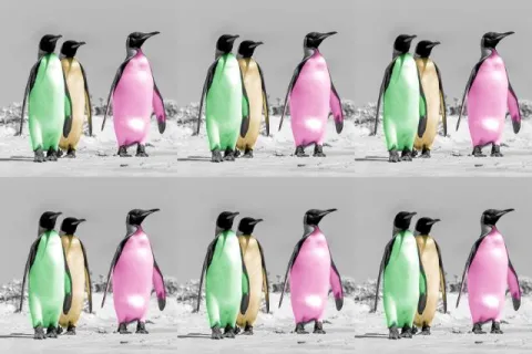 Warhol penguins as non-fungible token (NFT)