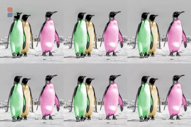 Warhol-Pinguine als non-fungible token (NFT)