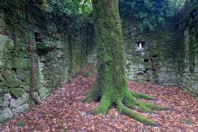 Die mystische und geheimnisvolle Ruine Escusalla 