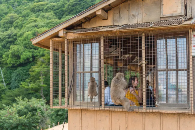 Visitors behind bars