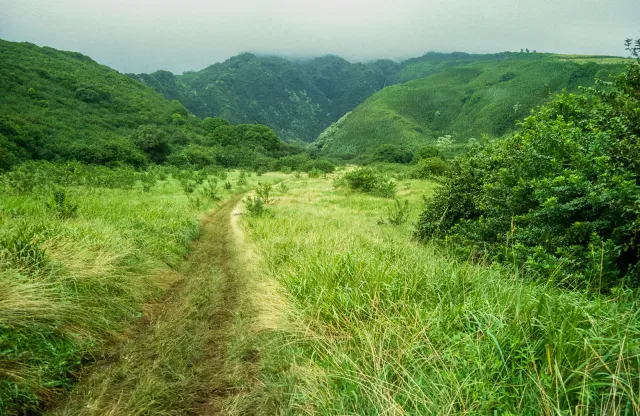 On the trails of Kauai