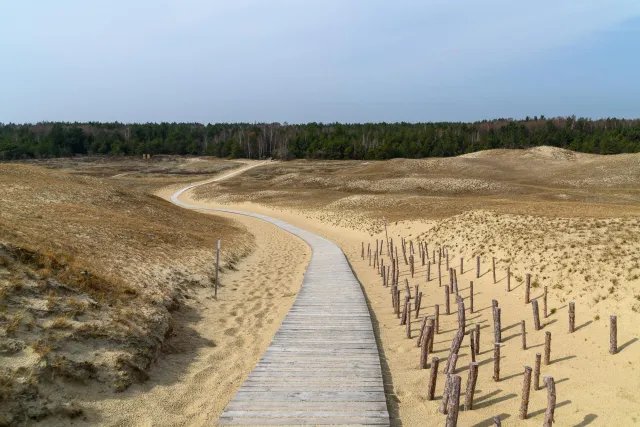 The dunes of the Curonian Spit