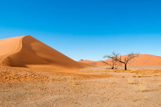 The dunes at Sossusvlei