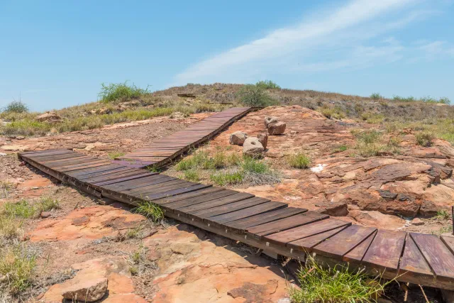 On the Mapungubwe hill