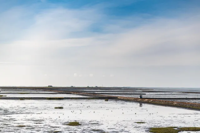  The Lorendamm to the Hallig Nordstrandischmoor