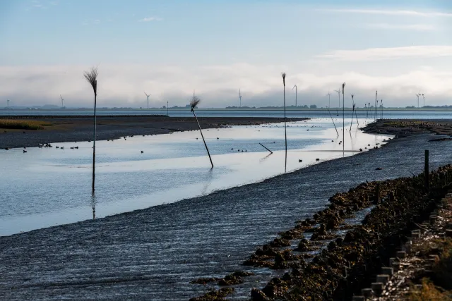 The fairway of the southern port of Nordstrand at low tide