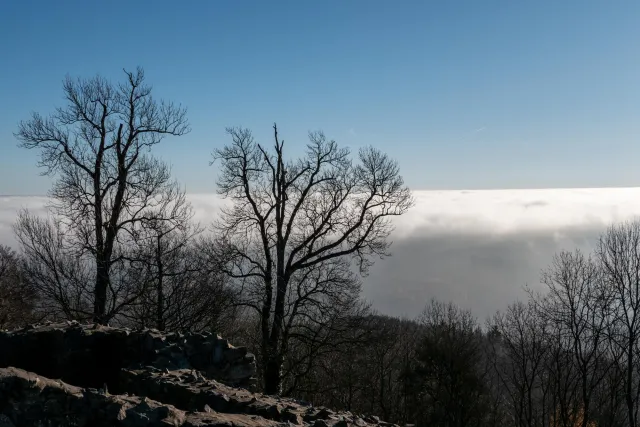 Die Wolkendecke unter der Löwenburg