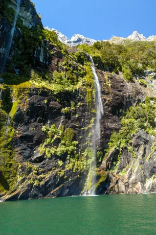 The Milford Sound