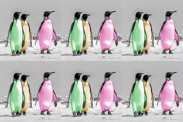 Warhol-Pinguine als non-fungible token (NFT)