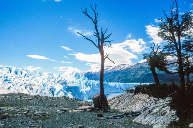 The Perito Moreno Glacier