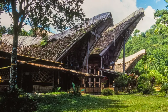 Tongkonan, die beeindruckenden Häuser der Toraja