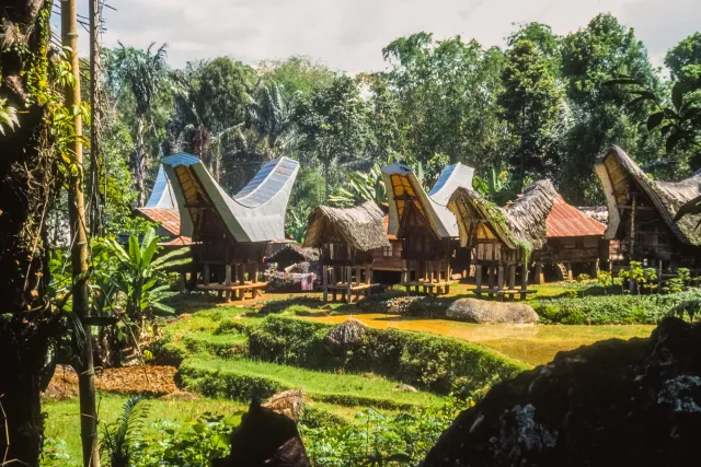 Tongkonan, die beeindruckenden Häuser der Toraja