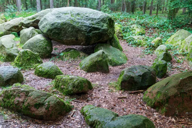 Das Großsteingrab in der Kunkenvenne, auch Großsteingrab von Thuine genannt, Sprockhoff-Nr. 874