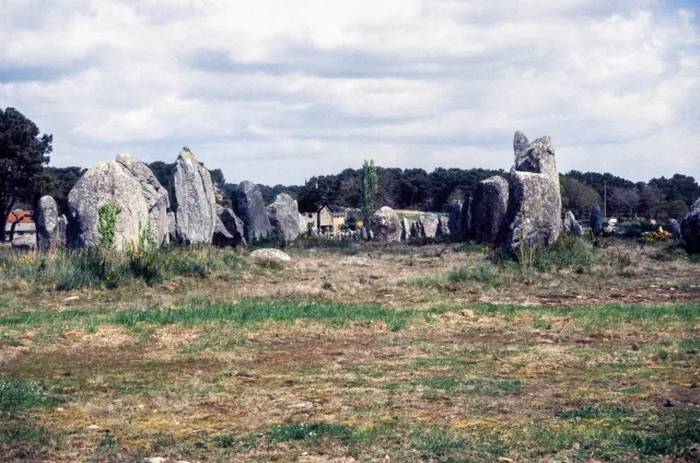 Stone rows of Carnac