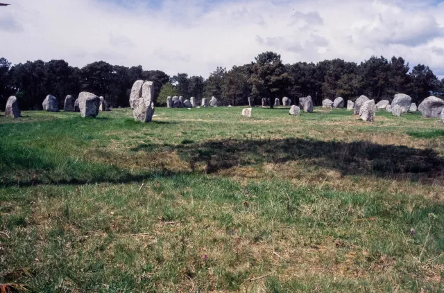 Stone rows of Carnac