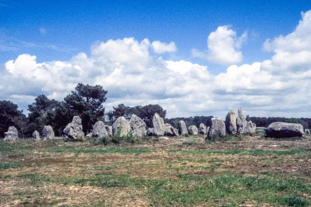 Stone rows of Carnac