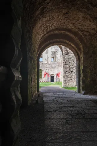 Ruine des Schlosses von Borgholm