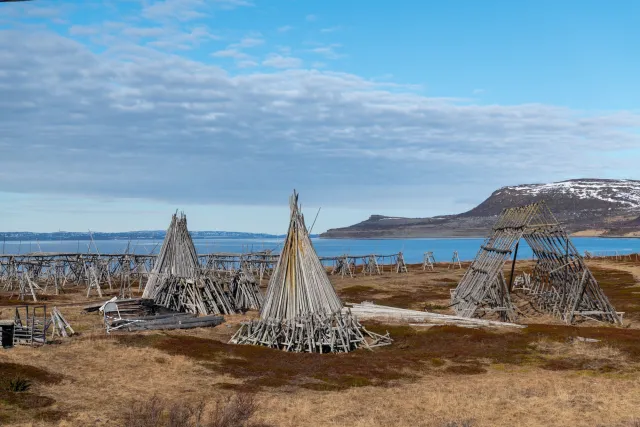 Fischfang in Vadsø an der Barentssee