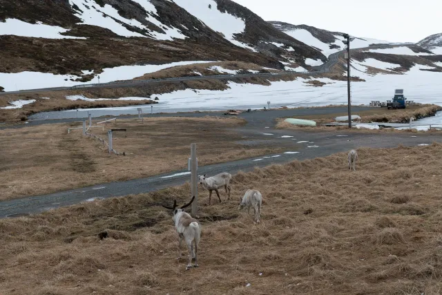 Arrive at base camp on the North Cape