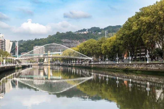 Bridges and buildings on the Nervión River