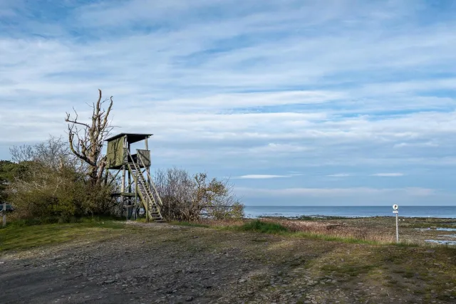 Animal watching in the nature reserve between Nexø and Balka