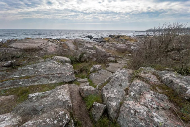 Over the rocks of the rugged coast