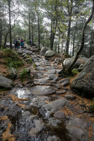 Aufstieg zum Preikestolen