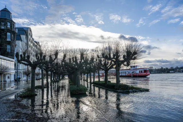 The flooded Rhine promenade near Königswinter